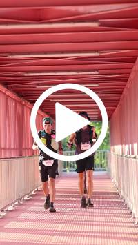 BIB:  <button type="button" onclick="openModal(27341578)" class="btn btn-primary btn-sm float-right" data-toggle="modal" data-target=".modal-high-quality">
                <i class="fa fa-download"></i> Download
                </button>